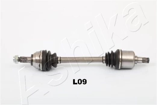 Pusašis ASHIKA 62-0L-L09