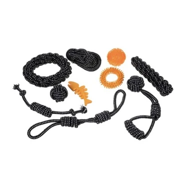 Šunų žaislų rinkinys PlayPack su 10 interaktyvių žaislų
