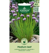 Laiškinių česnakų sėklos MEDIUM LEAF, 0,5 g kaina
