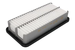 Oro filtras MANN-FILTER C2519 kaina