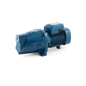 Sausai statomas horizontalus siurblys Pedrollo JSWm3CM-N 230V