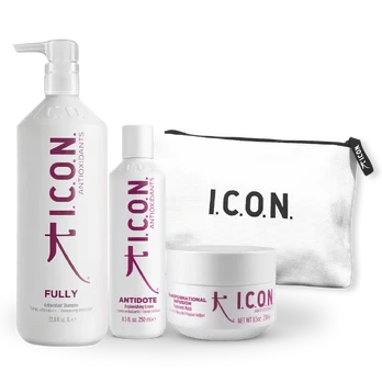I.C.O.N. ANTIOXIDANTS maitinantis rinkinys Large