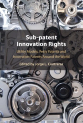 Sub-patent Innovation Rights