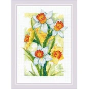 Spring Glow. Daffodils. Siuvinėjimo rinkinys iš RIOLIS Nr.: 2189