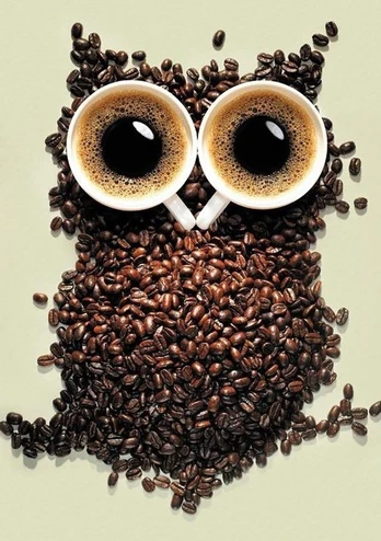Deimantinis paveikslas Coffee Owl WD242 20*30 cm