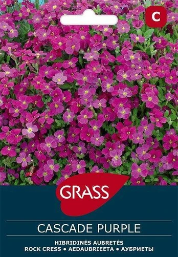 Aubrečių sėklos CASCADE PURPLE, 0,1 g