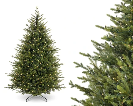 Dirbtinė eglė Erbis PE Premium LED, 260 cm, žalia