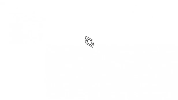 TARPINĖ CL590, ECHO