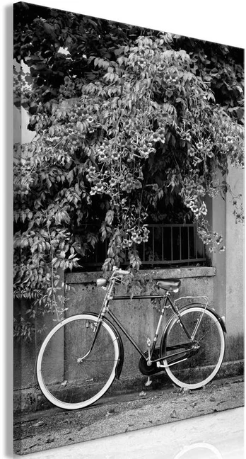 Artgeist Paveikslas - Bicycle and Flowers (1 Part) Vertical
