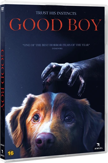 Angel GOOD BOY