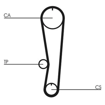 CONTI CT 895 Timing belt