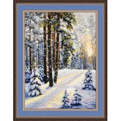 Winter S727