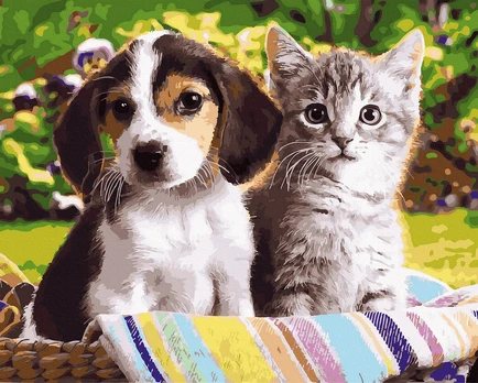 Tapybos rinkinys "Fluffy friends"