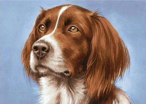 Deimantinis paveikslas Setter WD181 38*27 cm