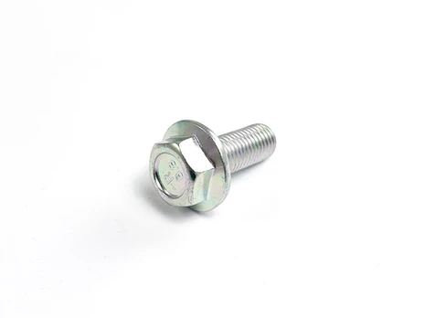 30006-102025810 Bolt