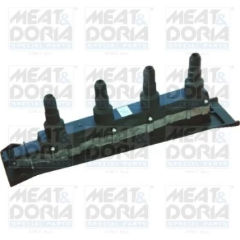 Ritė, uždegimas MEATDORIA 10525