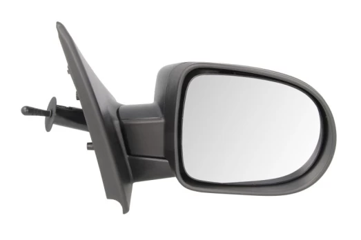 BLIC 5402-09-2002116P Wing mirror