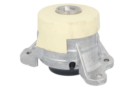 Variklio montavimas TEDGUM TED38367