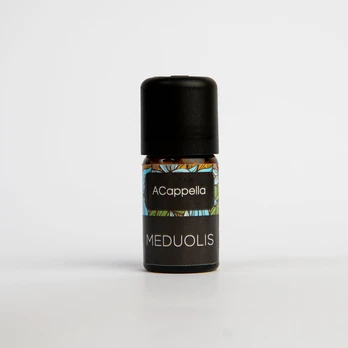 NAMŲ KVAPO MĖGINYS „MEDUOLIS“ 8 ML
