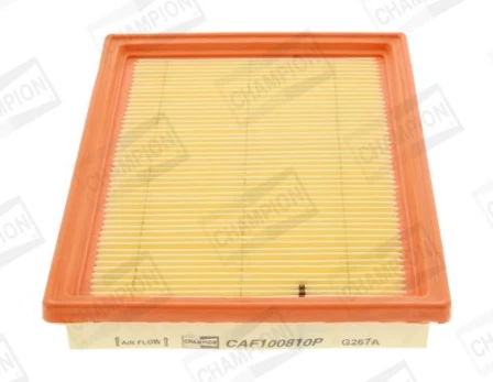 Oro filtras CHAMPION CAF100810P
