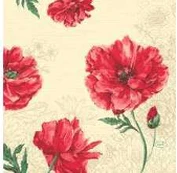 Servetėlė Duni 33x33 cm 3 sluoksnių Monique 250 vnt./pak.