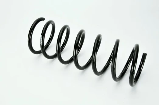 MAGNUM TECHNOLOGY SF042MT Coil spring