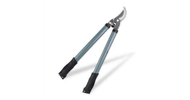 GENĖJIMO ŽIRKLĖS 55 CM