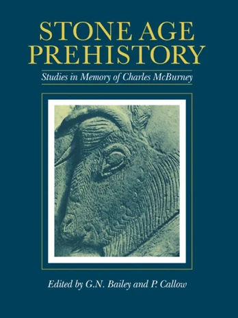 Stone Age Prehistory