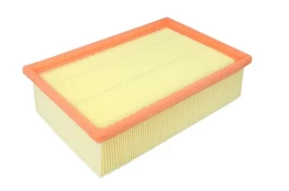 Oro filtras FILTRON AP 130/2 kaina