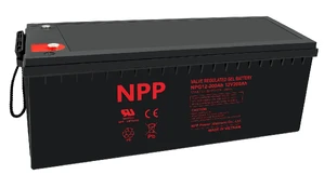 Akumuliatorius 12V 200Ah T18(M8) Pb GEL (želinis) NPP kaina
