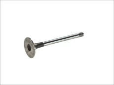 FRECCIA 3662/S Inlet valve kaina
