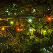 LED šviesos grandinės alaus sodo prailginimas, spalvingas