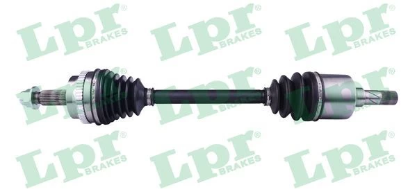 Pusašis LPR DS52427