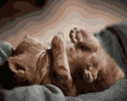 TPS Tapybos rinkinys "The kitten"