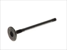 FRECCIA 6282/SCR Inlet valve kaina