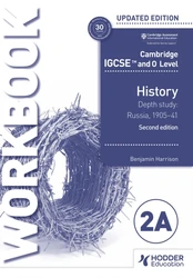 Cambridge IGCSE and O Level History Workbook 2A - Depth study: Russia, 1905–41 2nd Edition kaina