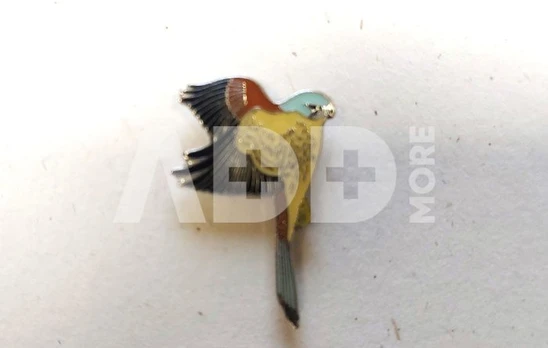 Ženkliukas KESTREL / Paprastasis pelėsakalis