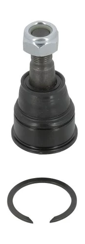 Šarnyras MOOG HO-BJ-10556