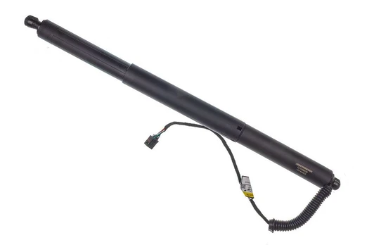 Galinių durų elektros variklis DENCKERMANN G100039