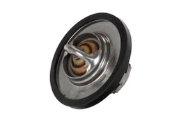 Termostatas, aušinimo skystis CONTINENTAL 28020040192