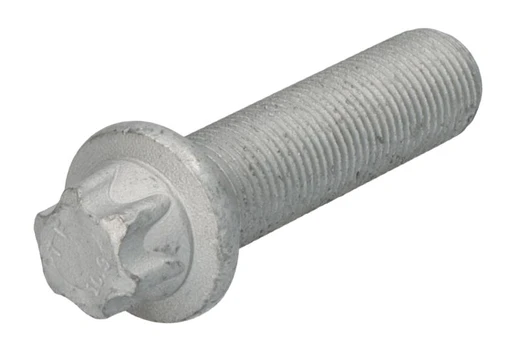 Kakliukas rato stebulės galas 0750108976ZF