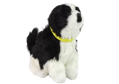 Interaktyvus žaislas Border Collie 12698, 19 cm, universali