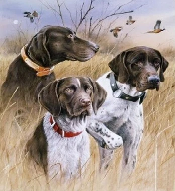 Lovatiesė - pledas KW-109, smėlio, 160 x 210 cm