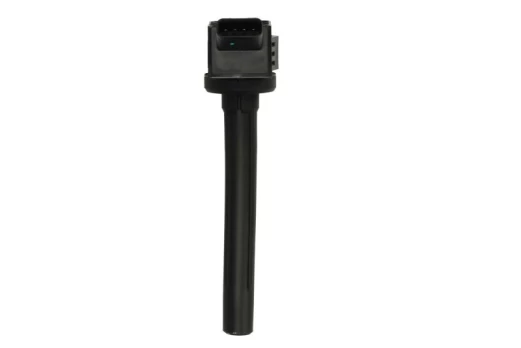 DELPHI GN11019-12B1 Ignition coil