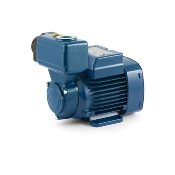 Sausai statomas horizontalus siurblys Pedrollo PKS60 400V