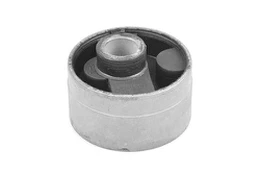 Variklio montavimas TEDGUM 00263368 kaina