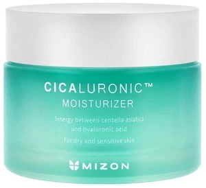 Veido kremas Mizon Cicaluronic Moisturizer, 120 ml, moterims