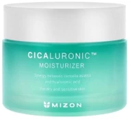 Veido kremas Mizon Cicaluronic Moisturizer, 120 ml, moterims kaina