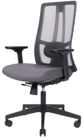Office ErgoTek biuro kėdė