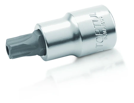 Galvutė TORX Pentacle 1/2" T55